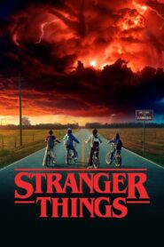 Stranger Things 2016