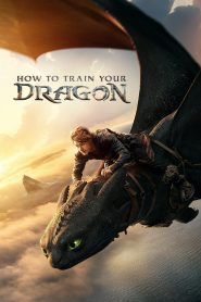How to Train Your Dragon – 2025