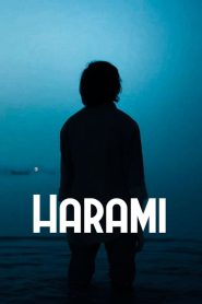 Harami – 2021