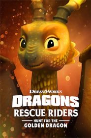 Dragons: Rescue Riders: Hunt for the Golden Dragon – 2020