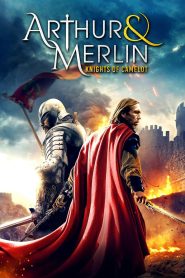 Arthur & Merlin: Knights of Camelot – 2020