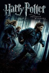 Harry Potter and the Deathly Hallows: Part 1 – 2010