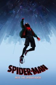 Spider-Man: Into the Spider-Verse – 2018