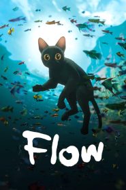 Flow – 2024