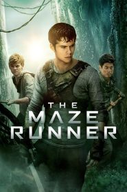 The Maze Runner – 2014