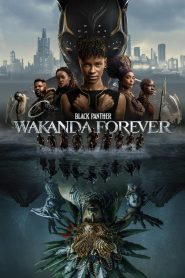 Black Panther: Wakanda Forever – 2022